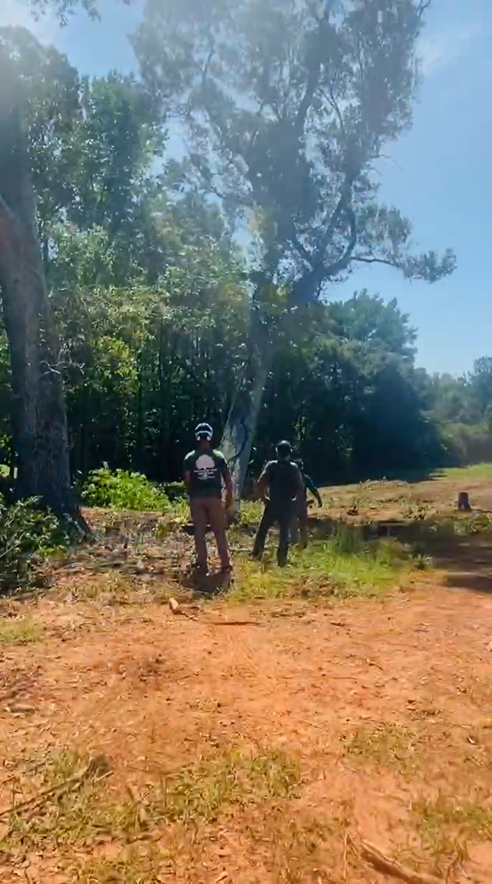 Just another day doing tree removal right at Southern Tree Solutions. #treecutting #treeremoval #griffinga