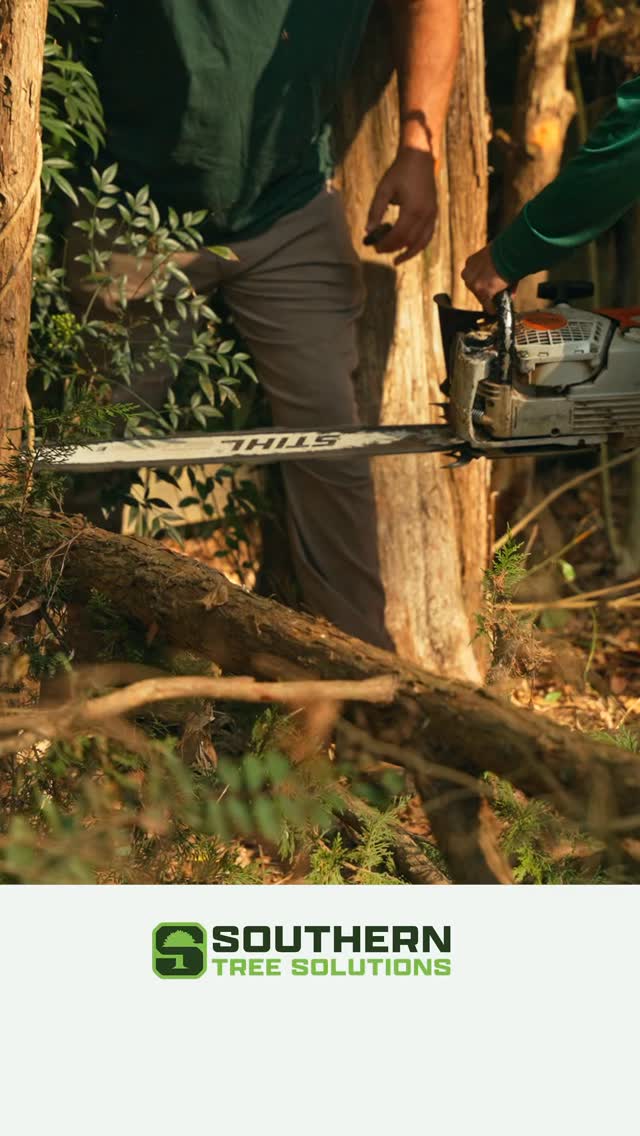Professional work. Local roots. A crew you can count on when it matters. That's Southern Tree Solutions.