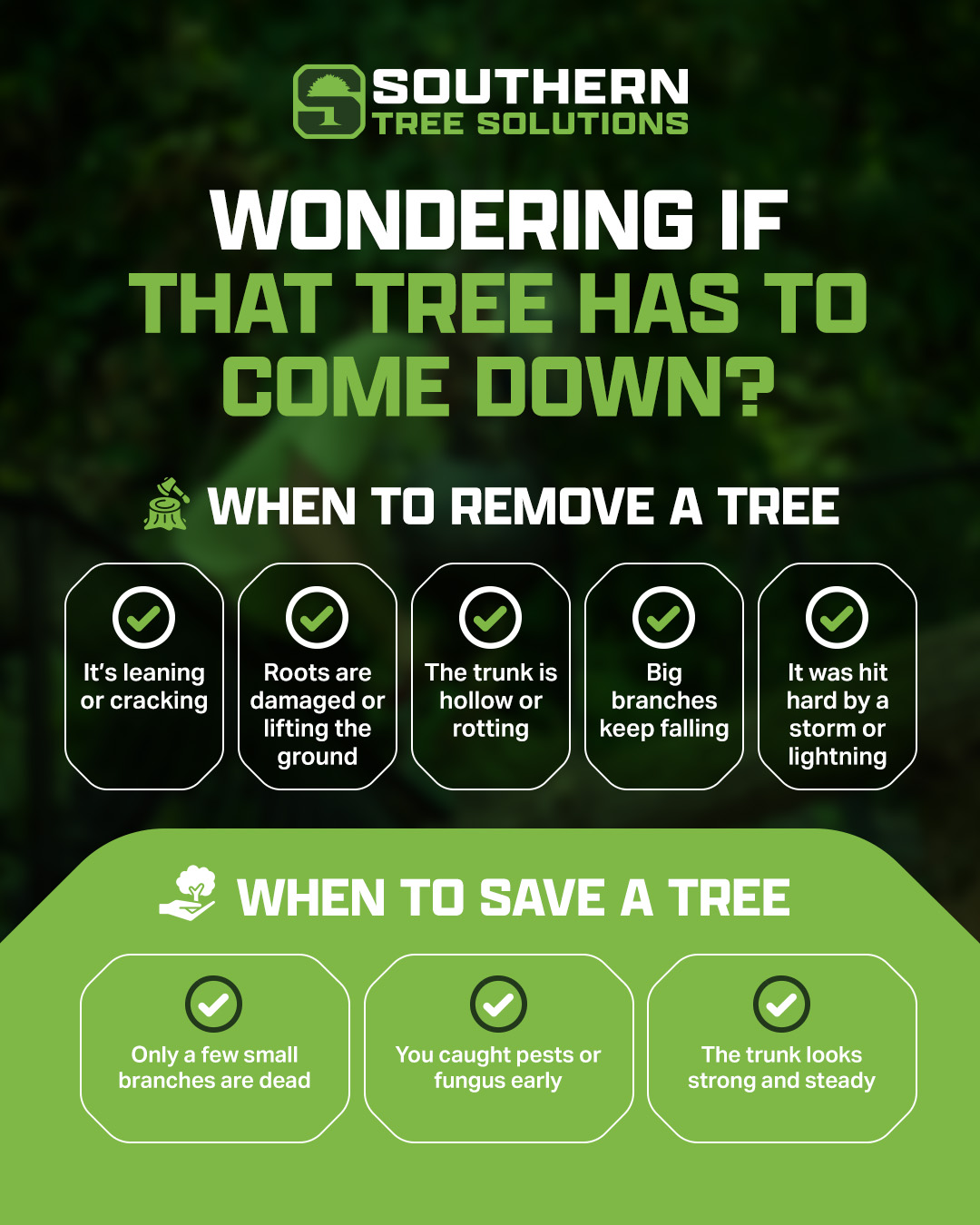 Some trees deserve a second chance. Others are asking for trouble. Schedule an appointment with our tree professionals to help tell the difference. #treeservice #treecare #treeremoval #cowetaga