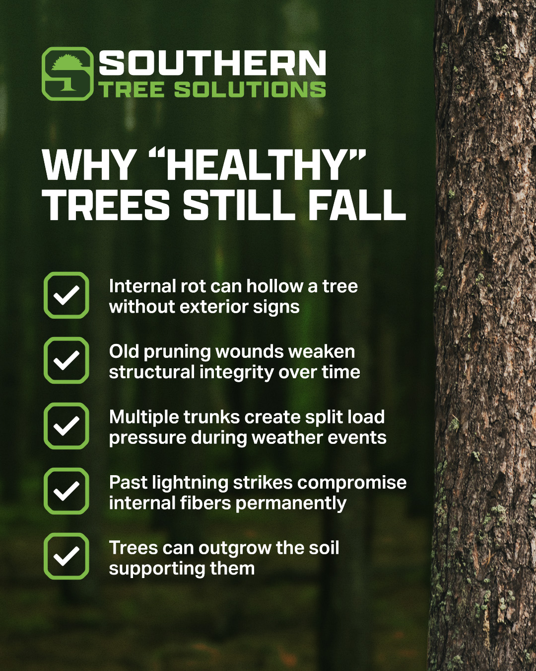 A green canopy doesn’t always mean strong roots. Knowing what’s happening inside a tree can make all the difference. When in doubt, call our experts for a thorough inspection. #treeservice #treecare #treeremoval #monroega