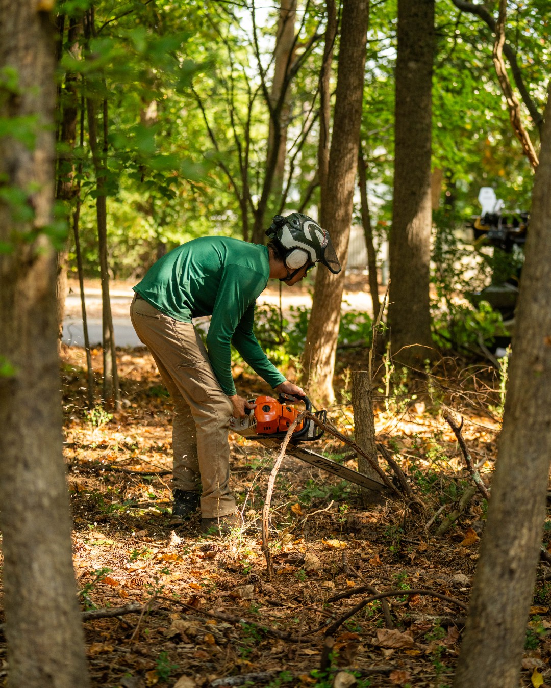 Need a tree removed? From complex jobs to quick clearings, we have the expertise and equipment to get it done with minimal disruptions. #treeservices #treeremoval #treetrimming #treecutting #pikecounty