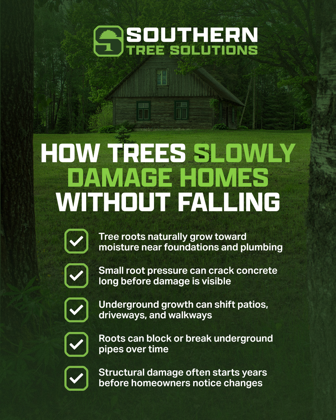 Tree damage isn’t always drastic. Sometimes it starts underground before you can see anything’s wrong. Get ahead of unseen tree issues with an inspection from our professionals. #treedamage #treesolution #georgia