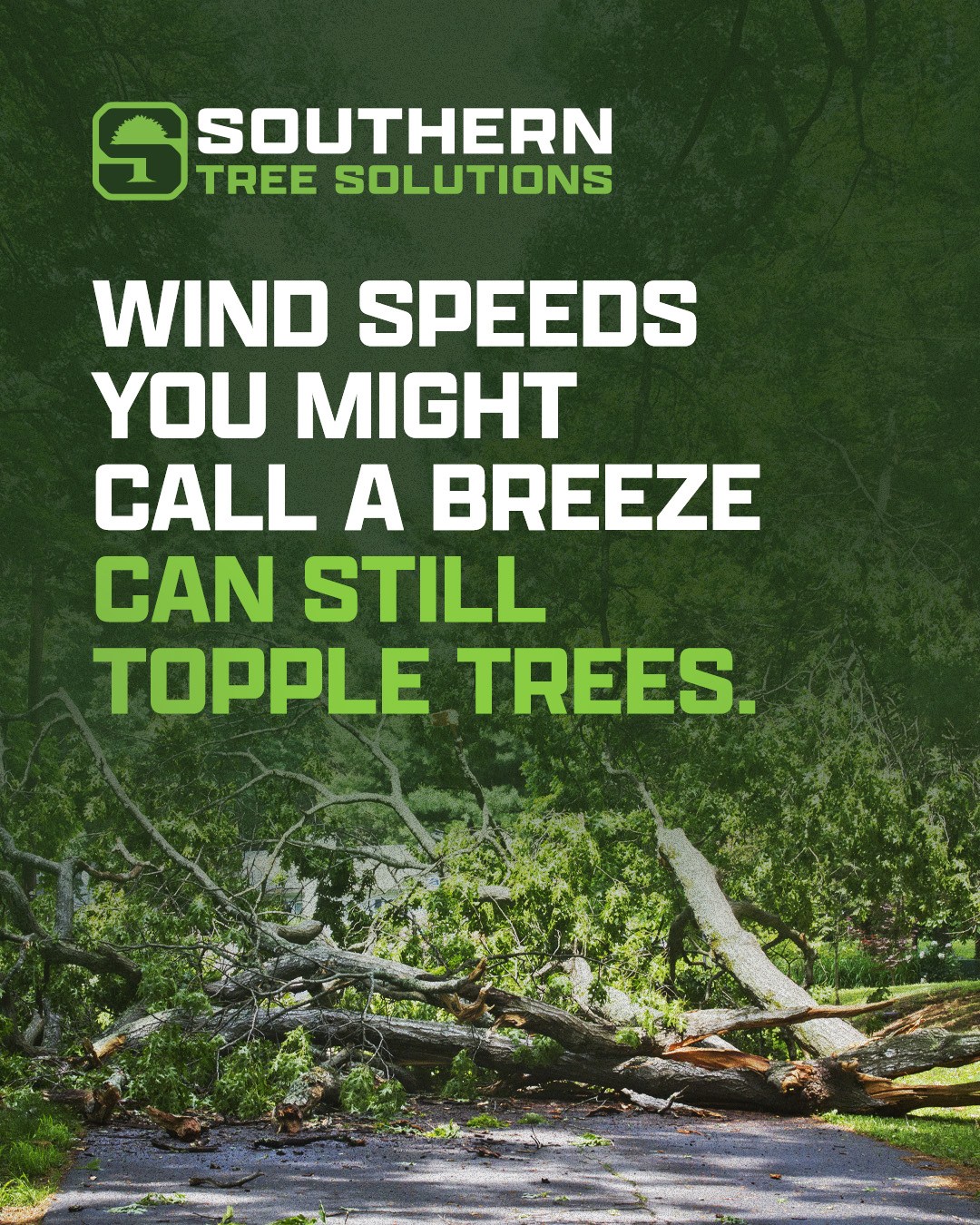 It doesn’t take a major storm to cause major damage. Even lighter winds can bring down weakened trees. Knowing the risks early helps keep your property safe. #treeservice #treework #treeremoval #treesolution #griffinga