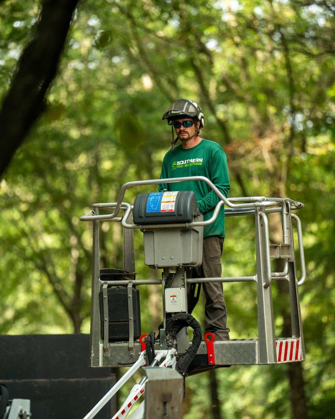 Pruning your trees isn't just about looks—it's about health and safety. Trust our experts to properly trim for a beautiful, strong, and hazard-free landscape. #pruning #treetrimming #claytonga