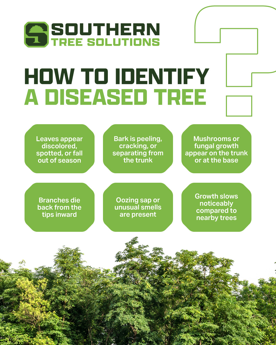 Trees often show warning signs before they become a risk. Discolored leaves, peeling bark, or fungal growth can signal deeper problems. Knowing what to look for helps protect your home and property. #treeservices #treeinspection #griffinga