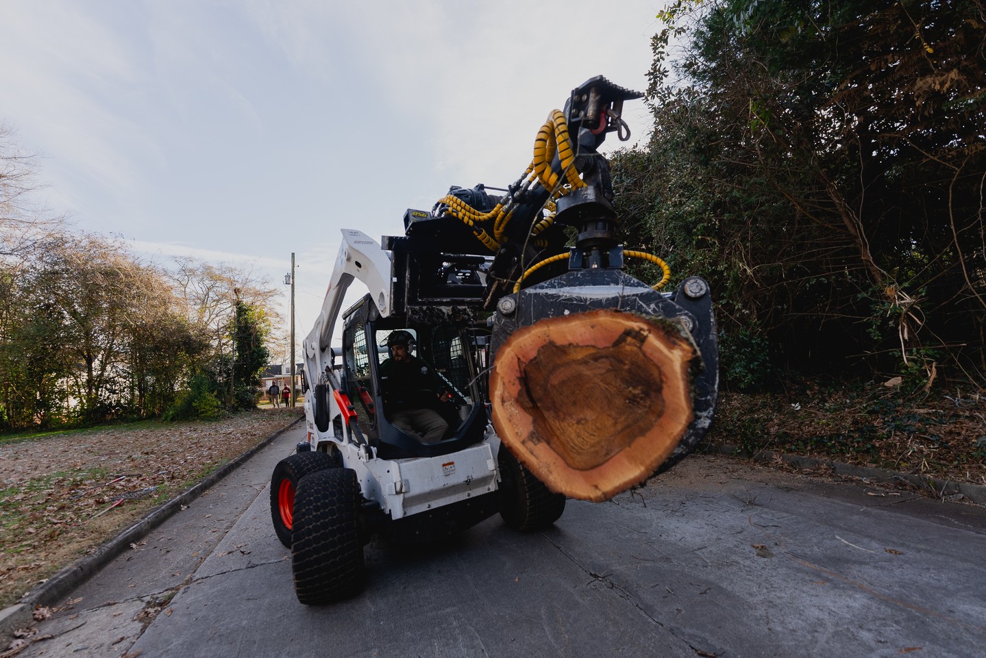 The certified way to clear your land. Our team handles every tree removal safely and efficiently, no matter the size. #treeremoval #treework #pikecounty