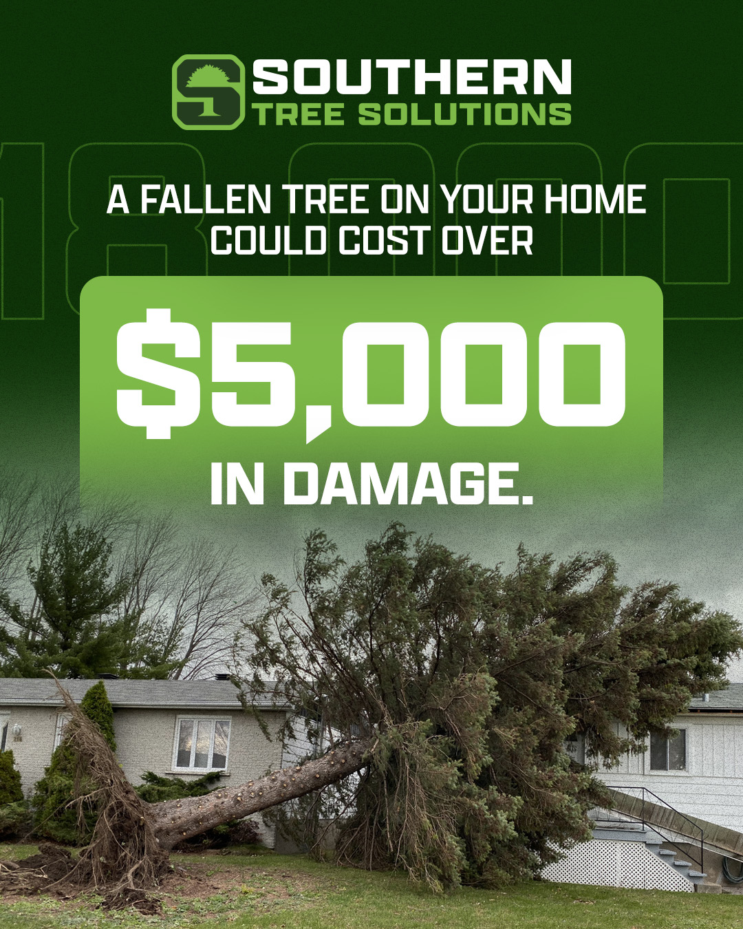 That number adds up fast. Growth, storms, disease, and neglect all take a toll. Caring for the trees you have today helps protect what’s still standing tomorrow. #treecare #treesolution #georgia