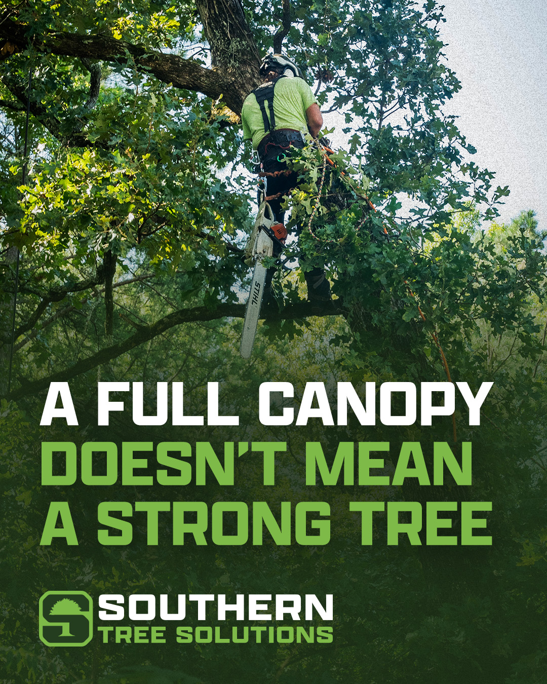 It may look strong up top, but that’s not always the full picture. At Southern Tree Solutions, we take a closer look to ensure your trees are healthy from top to bottom. #treeservices #treeinspection #claytonga