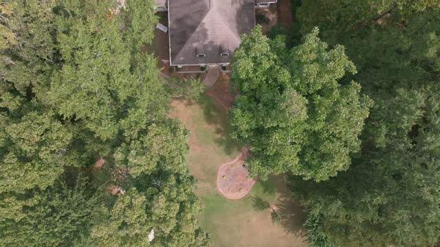 You call, we come take a look, give you a clear number, and set a day to get it done. From there, our crew takes care of the rest. It’s as easy as that. #treeservicegeorgia #georgiatreeservice #gatreeworkers #georgiatreecare #georgiaarborist
