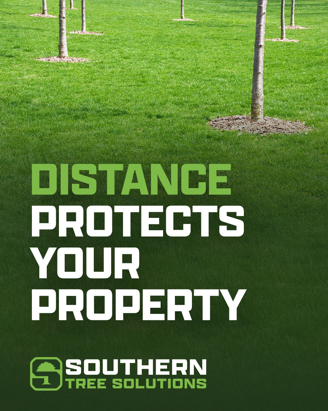 The space between your trees and your home plays a bigger role than most people think. Schedule an inspection with our team to see where your yard stands. #treeservices #treeinspection #cowetaga