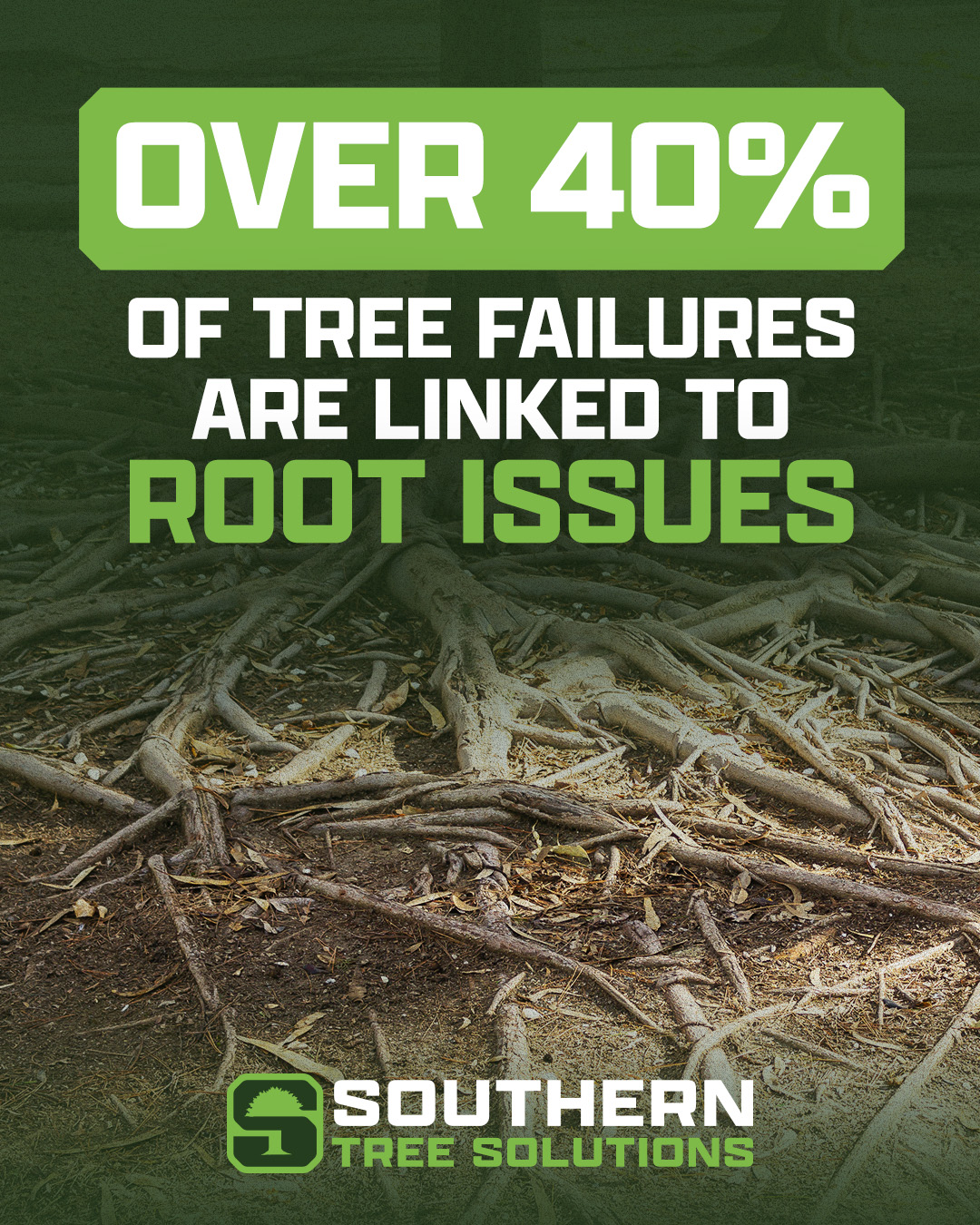 Root issues don’t always show right away, but they play a big role in a tree’s health. If you’re suspicious about the state of your roots, give us a call! #treecare #treecareprofessional #treeservices #treeinspection #griffinga