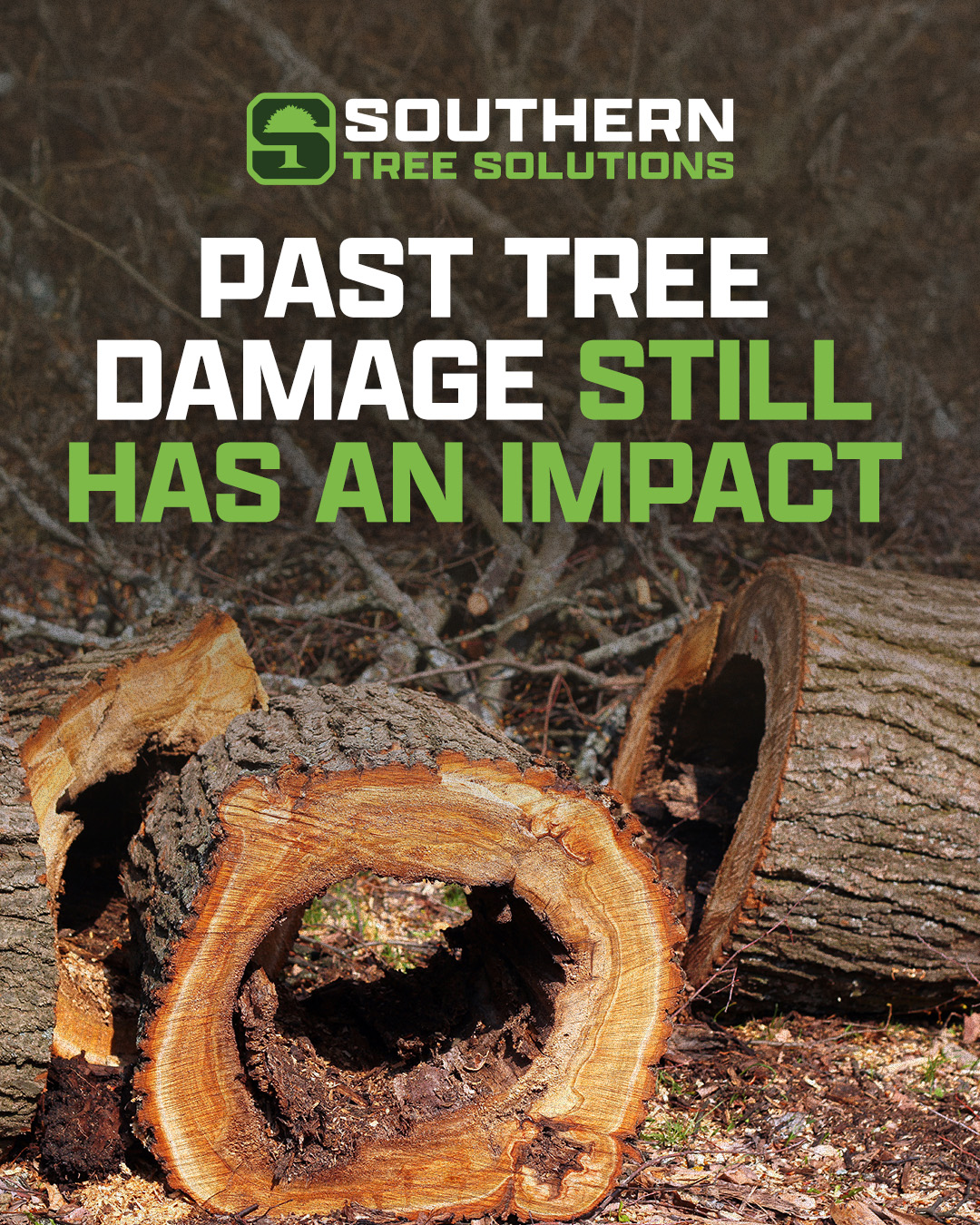 Even minor past damage can create unstable trees that require specialized attention. Ensure your property's safety with Southern Tree Solutions. #treeservicegeorgia #georgiatreeservice #gatreeworkers #georgiatreecare #georgiaarborist