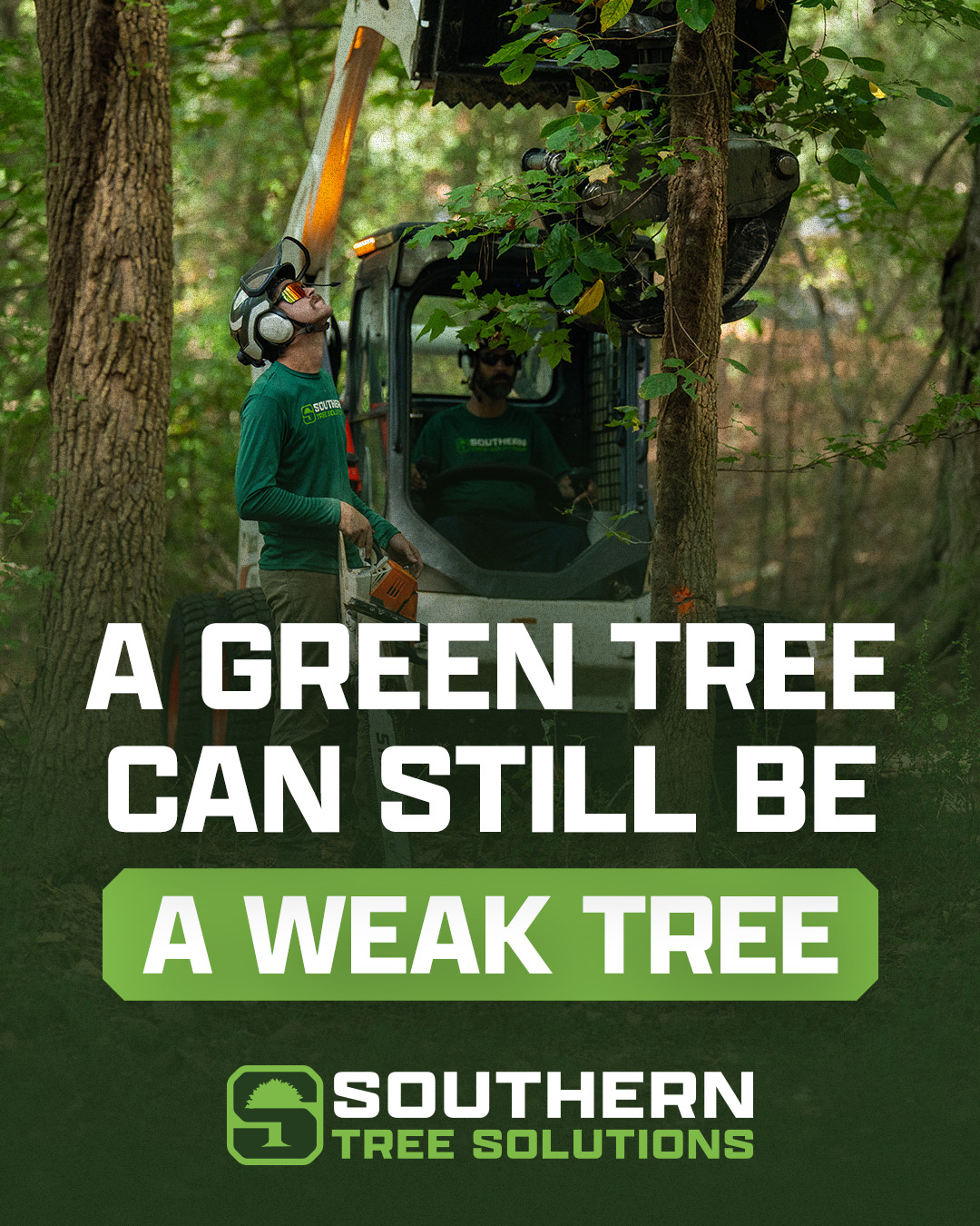 Lush green leaves can hide serious internal decay. Don’t wait for a storm to expose a hidden weakness. Get your trees inspected by the pros at Southern Tree Solutions. #treeinspection #treeriskassessment #treehazard #treehealth #henrycountygeorgia